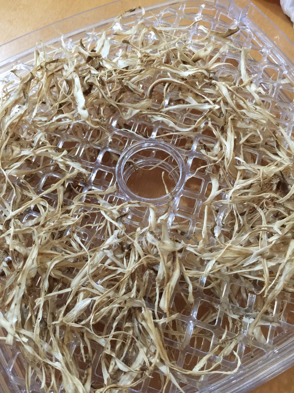 自家製ゴボウ茶。どんな魅力が？